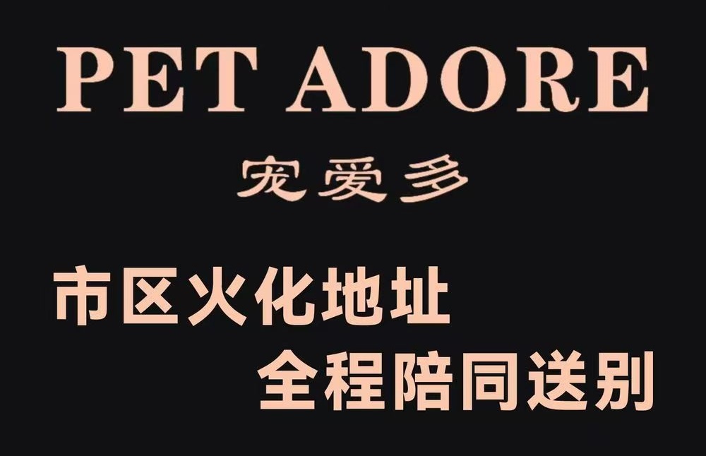 洪山宠爱多宠物火化