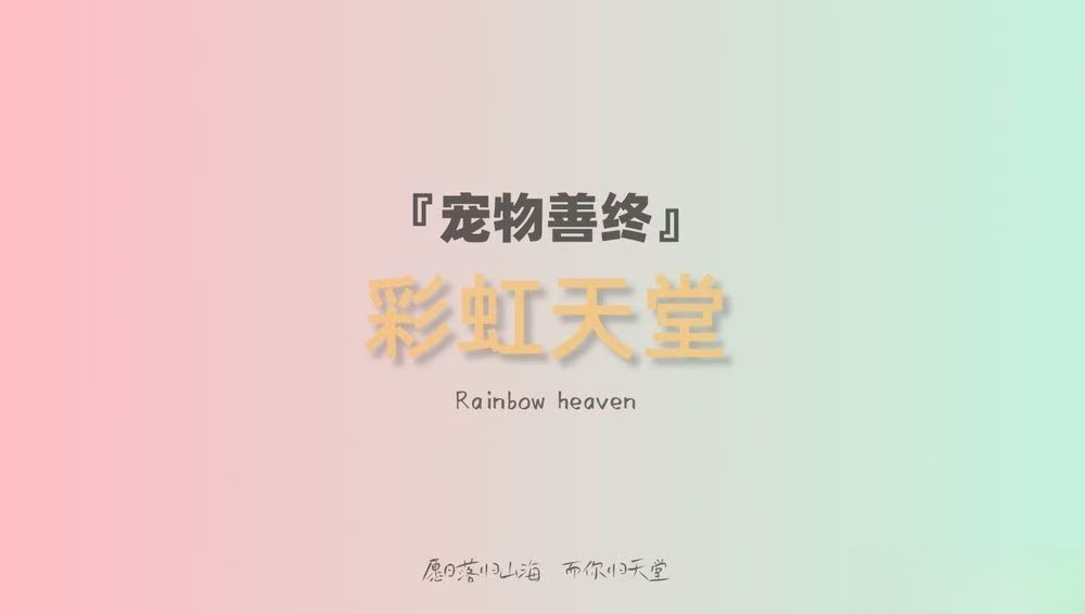 蔡甸彩虹天堂宠物殡葬